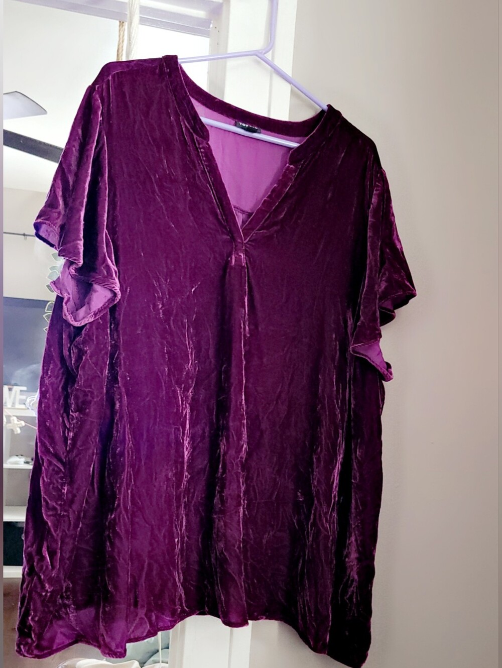 Torrid Velvet Top